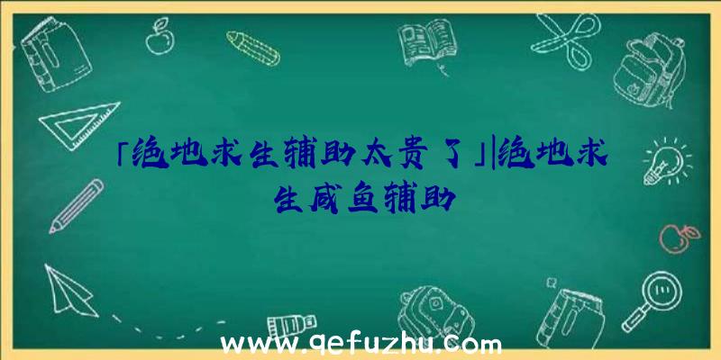 「绝地求生辅助太贵了」|绝地求生咸鱼辅助